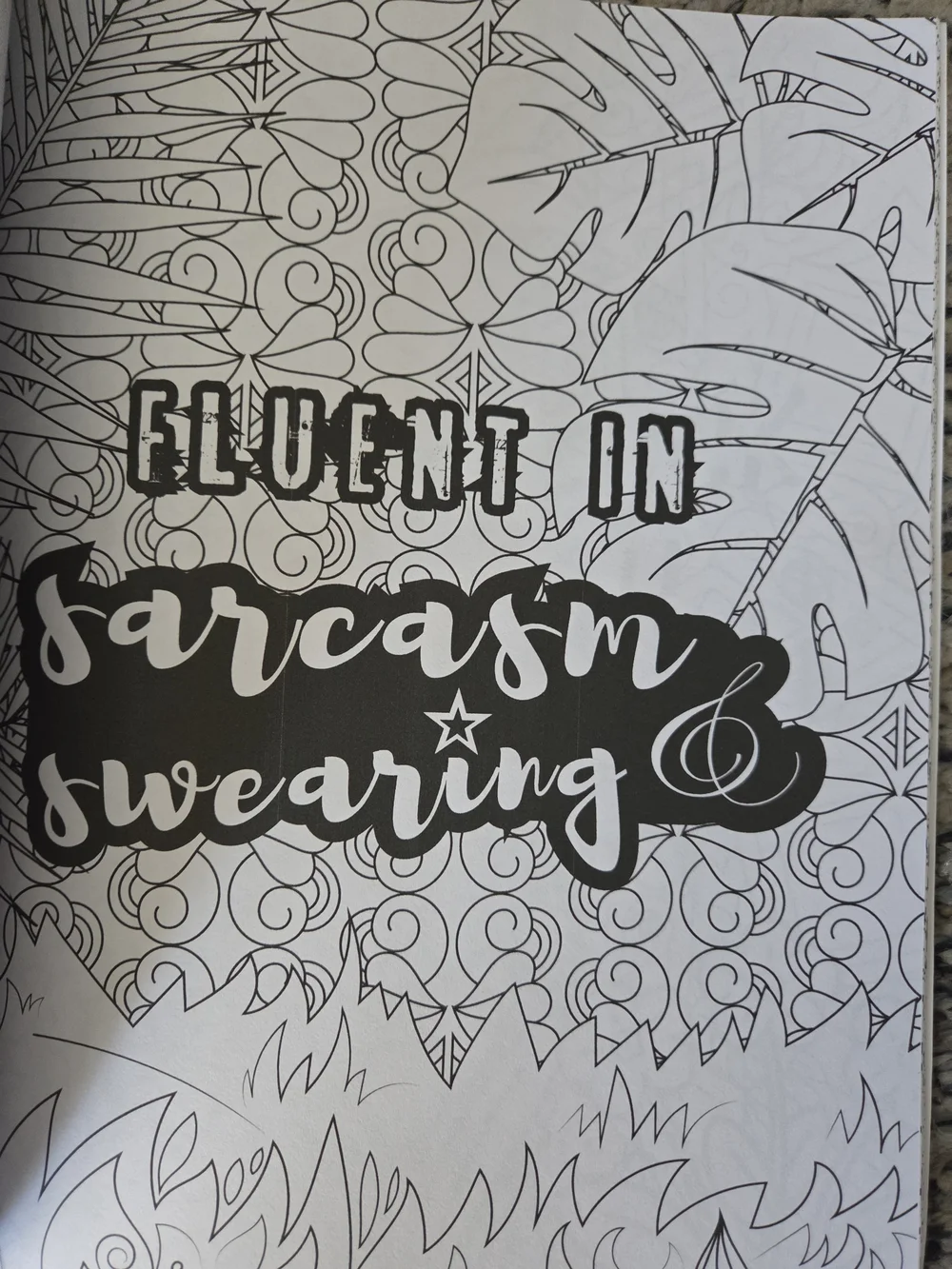 Go Lick a Cactus Adult Swear Words Coloring Book - Pink Green Black Design